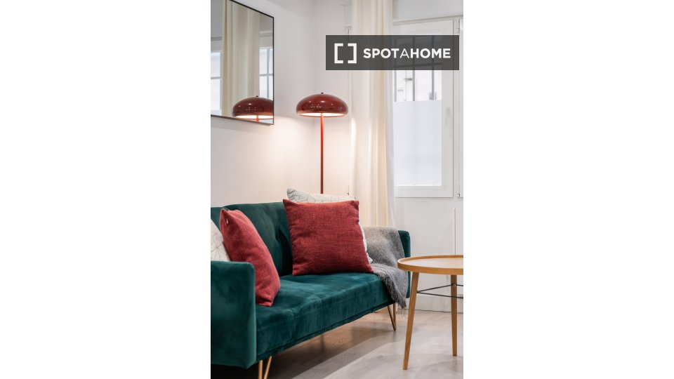 Apartment mono Madrid — photo 18