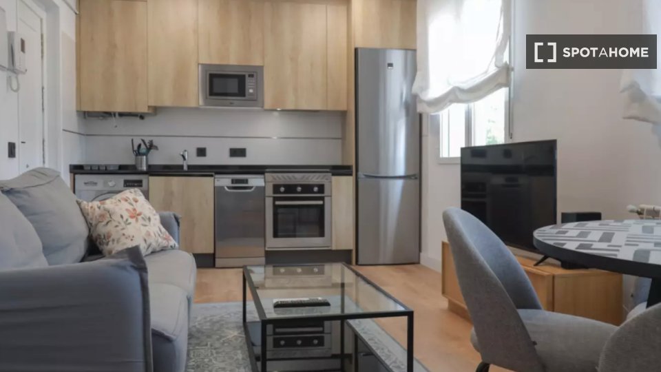 Apartment mono Madrid, 41m² — photo 1