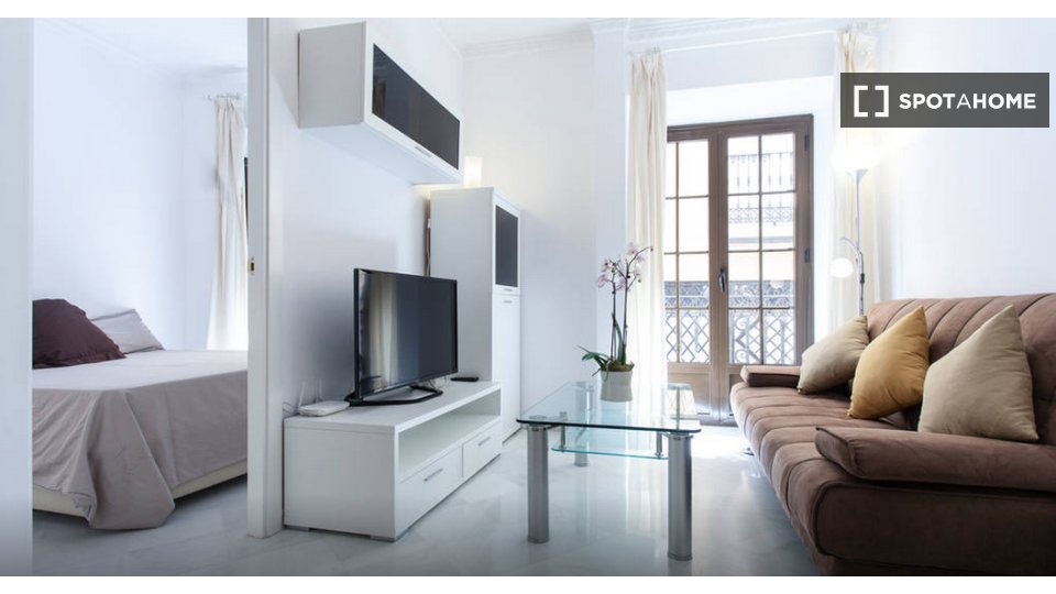 Apartment Seville, 1 bed — photo 16