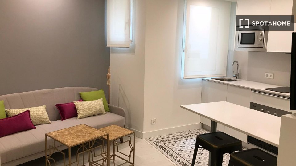 Apartment mono Madrid — photo 3
