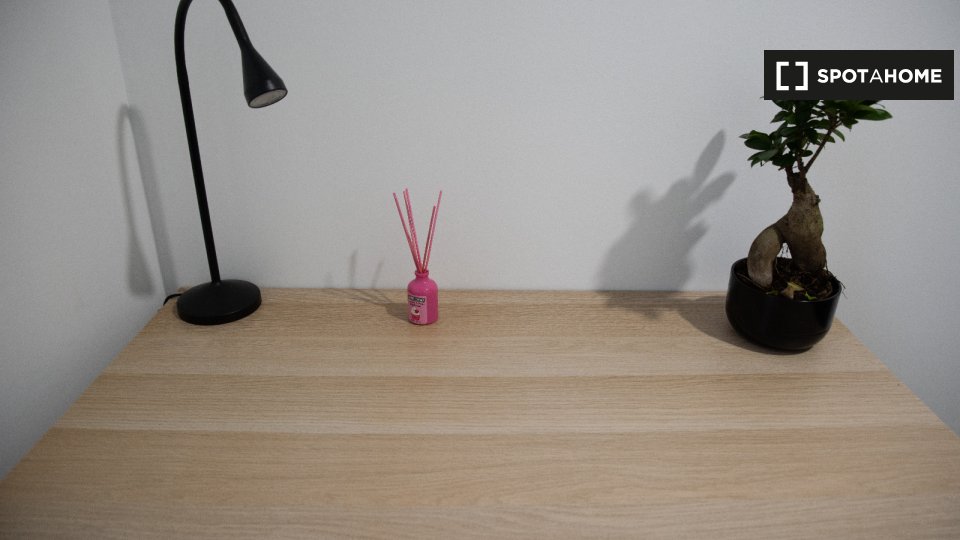 Double room Madrid, 8 beds, 120m² — photo 4