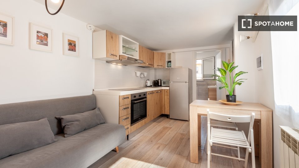 Apartment mono Rome, 35m² — photo 4