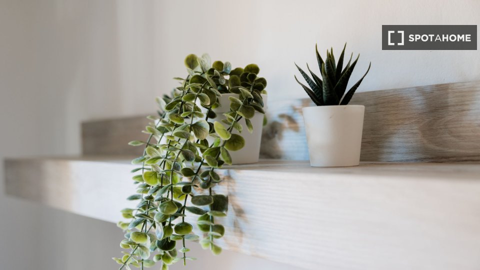 Apartment mono Rome, 38m² — photo 10