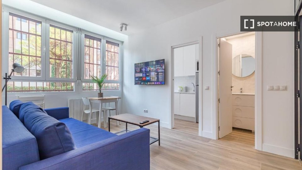 Apartment mono Madrid, 30m² — photo 1