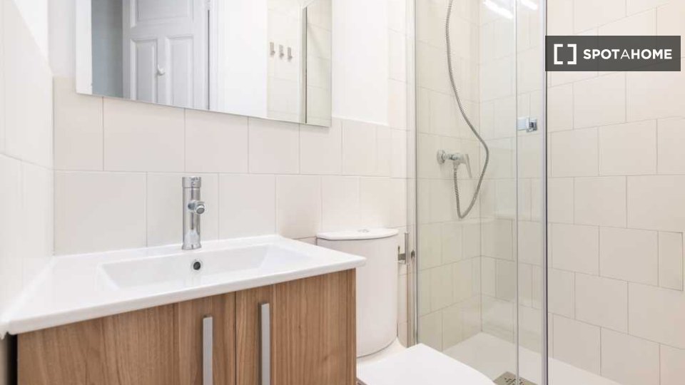 Double room Madrid, 7 beds, 260m² — photo 16