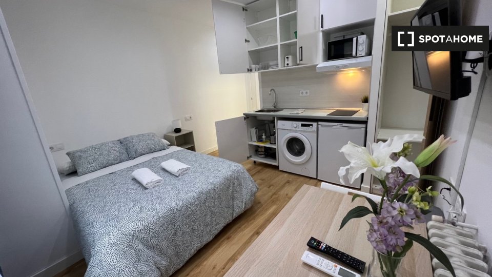 Apartment mono Madrid, 23m² — photo 3