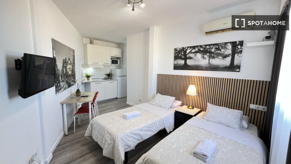 Apartment mono Madrid — photo 25