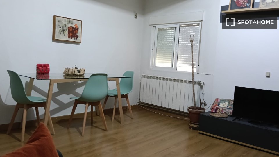 Double room Madrid, 1 bed, 100m² — photo 16