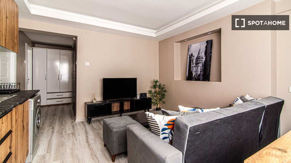 Apartment Istanbul, 1 bed — photo 4