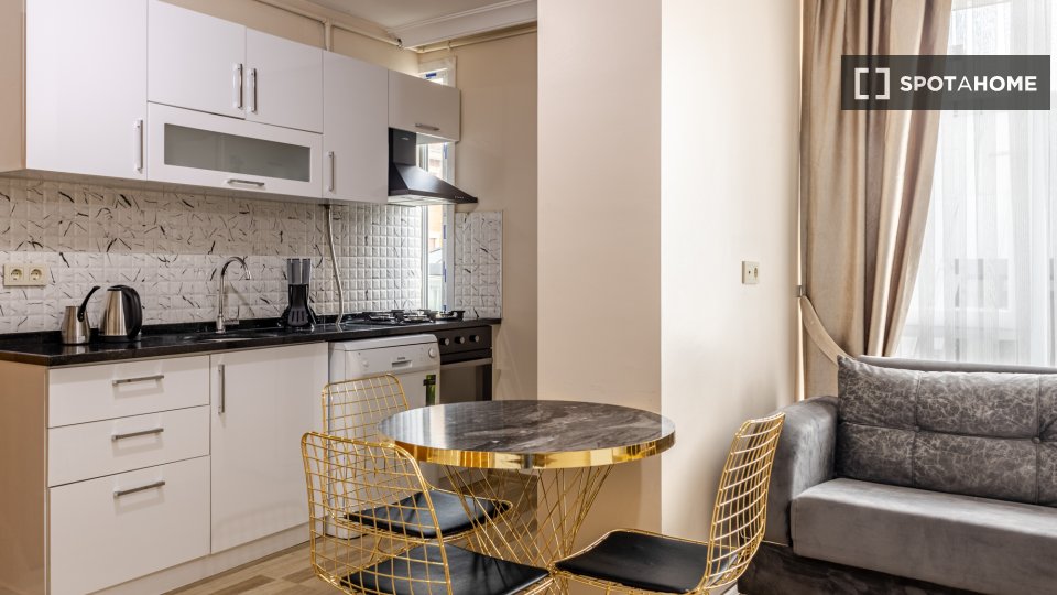 Apartment Istanbul, 1 bed — photo 2