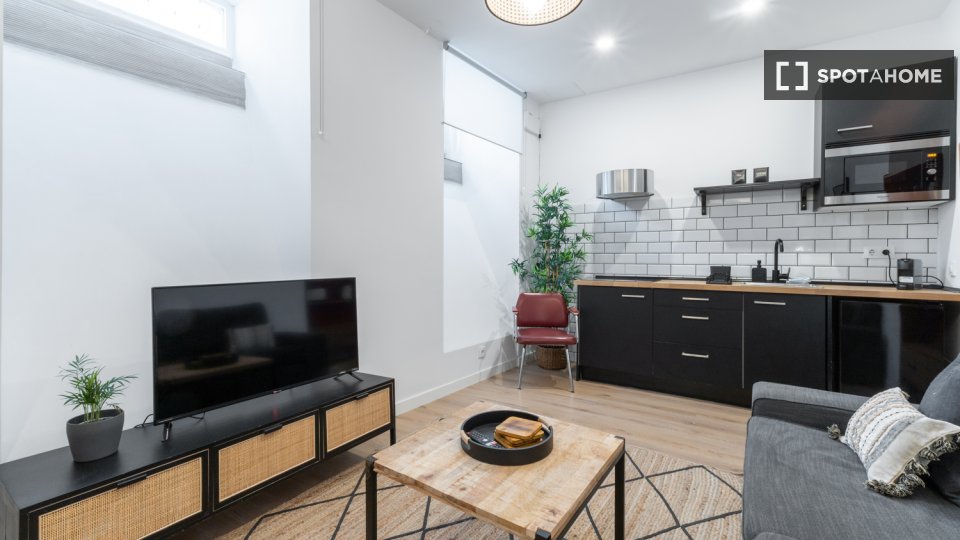 Apartment Madrid, 1 bed, 62m² — photo 10
