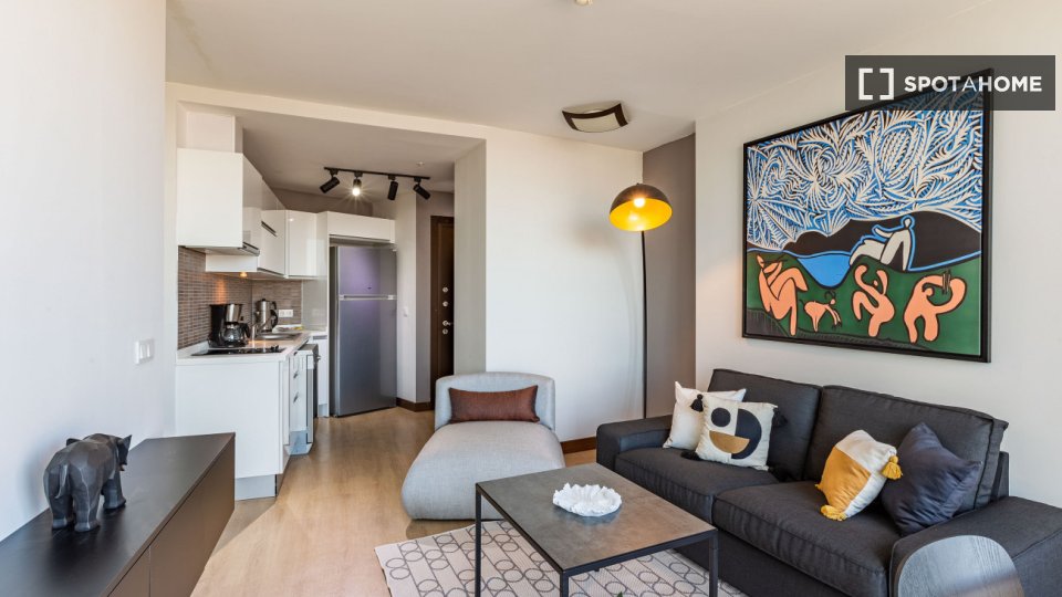 Apartment Istanbul, 1 bed — photo 6