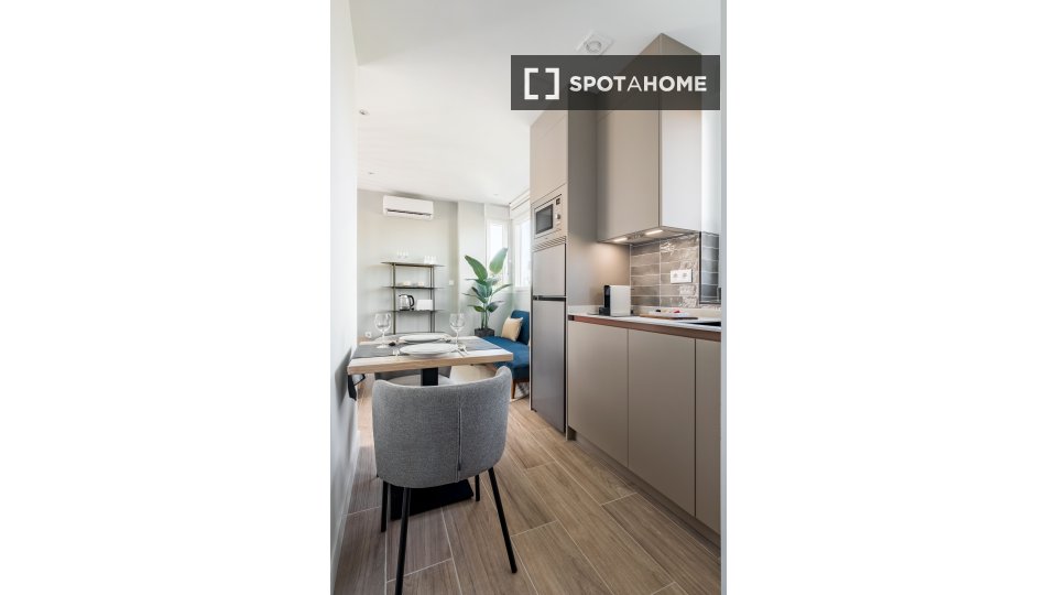 Apartment mono Madrid, 19m² — photo 6