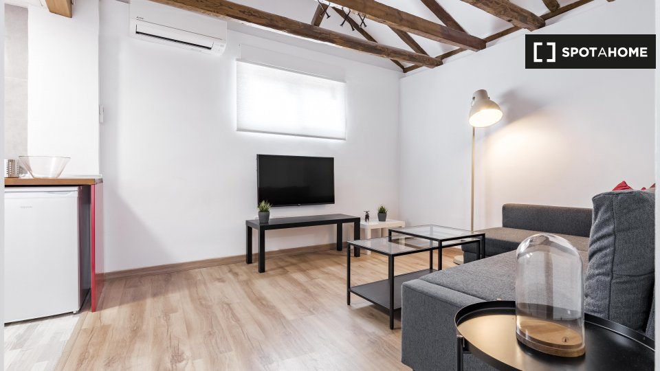 Apartment Madrid, 1 bed, 50m² — photo 11