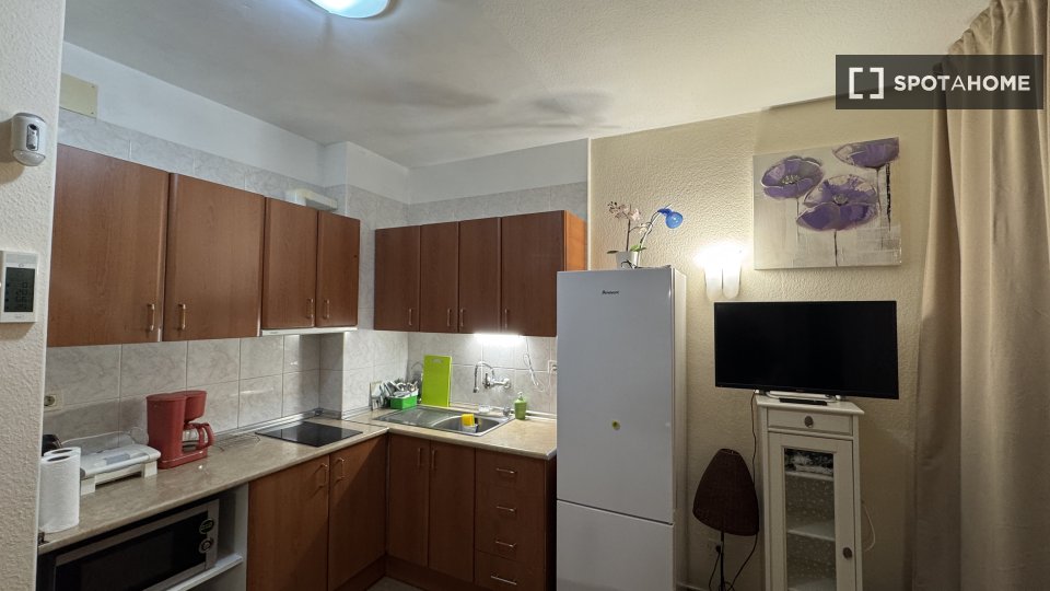 Apartment mono Santa_Cruz_De_Tenerife, 46m² — photo 11