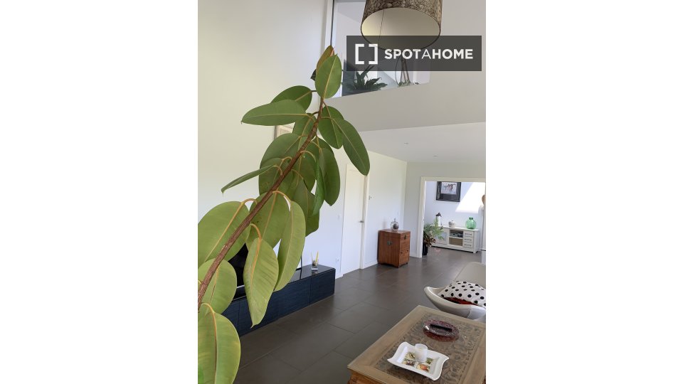 Apartment Santander, 4 beds, 450m² — photo 10