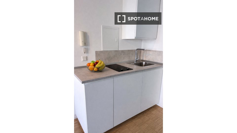 Apartment mono Munich, 25m² — photo 5