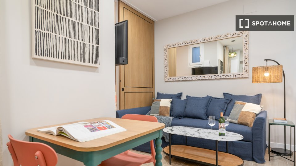 Apartment mono Madrid, 45m² — photo 12