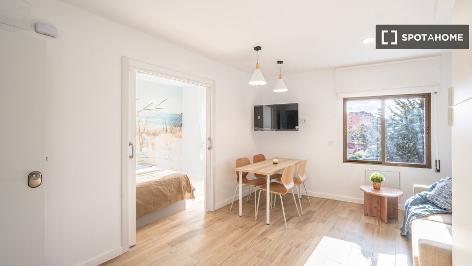 Apartment mono Madrid, 30m² — photo 3