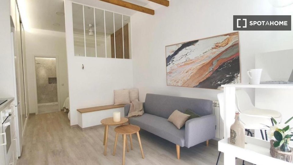 Apartment Madrid, 1 bed — photo 8