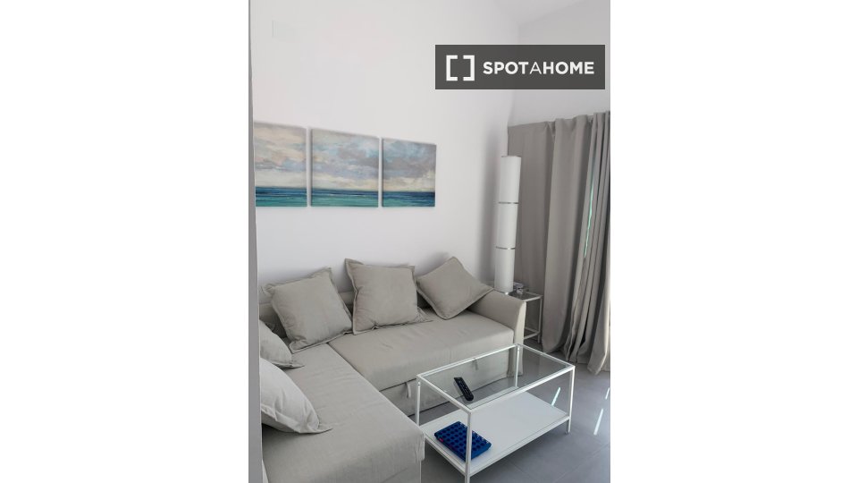 Apartment Santa_Cruz_De_Tenerife, 1 bed, 45m² — photo 8