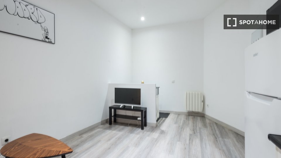 Apartment Madrid, 2 beds, 45m² — photo 9