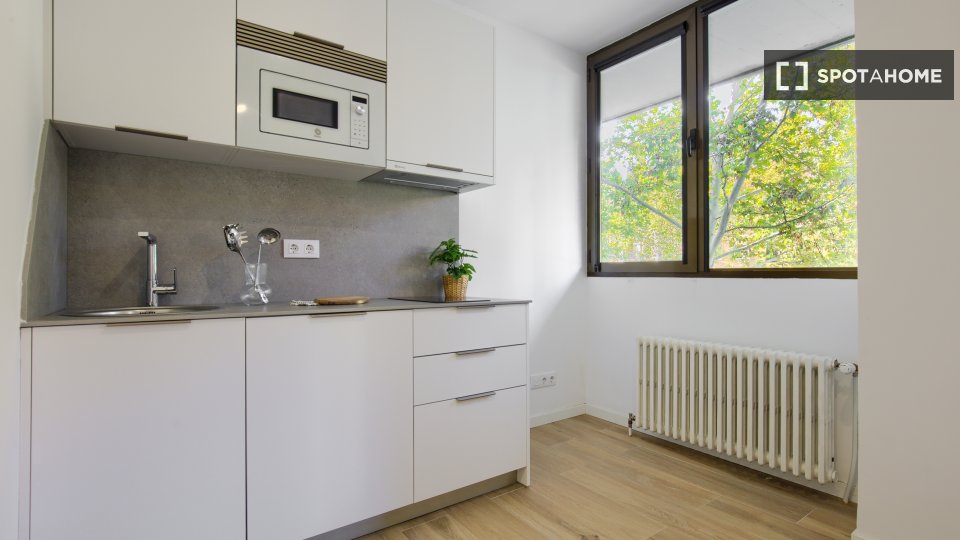 Apartment mono Madrid — photo 4