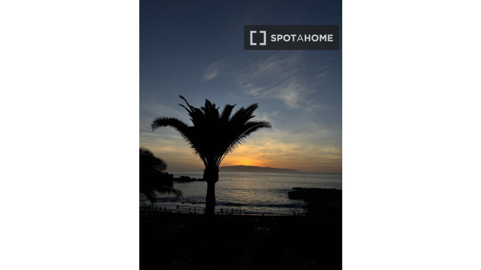 Apartment Santa_Cruz_De_Tenerife, 1 bed, 80m² — photo 19