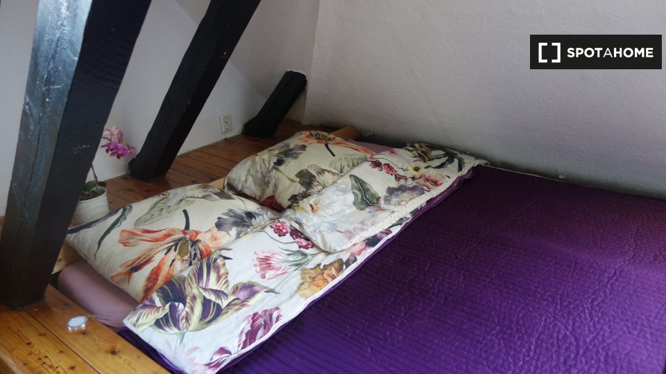 Apartment mono Berlin, 45m² — photo 5