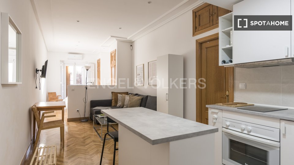 Apartment mono Madrid, 50m² — photo 2