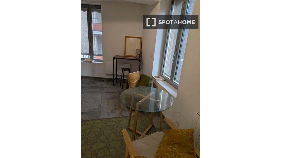 Apartment mono Lyon, 28m² — photo 9