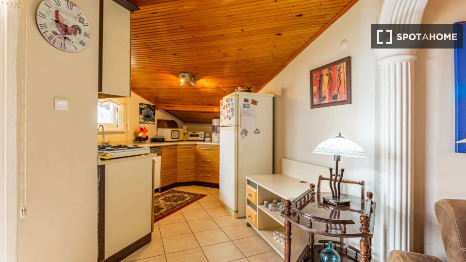 Apartment Istanbul, 1 bed — photo 10