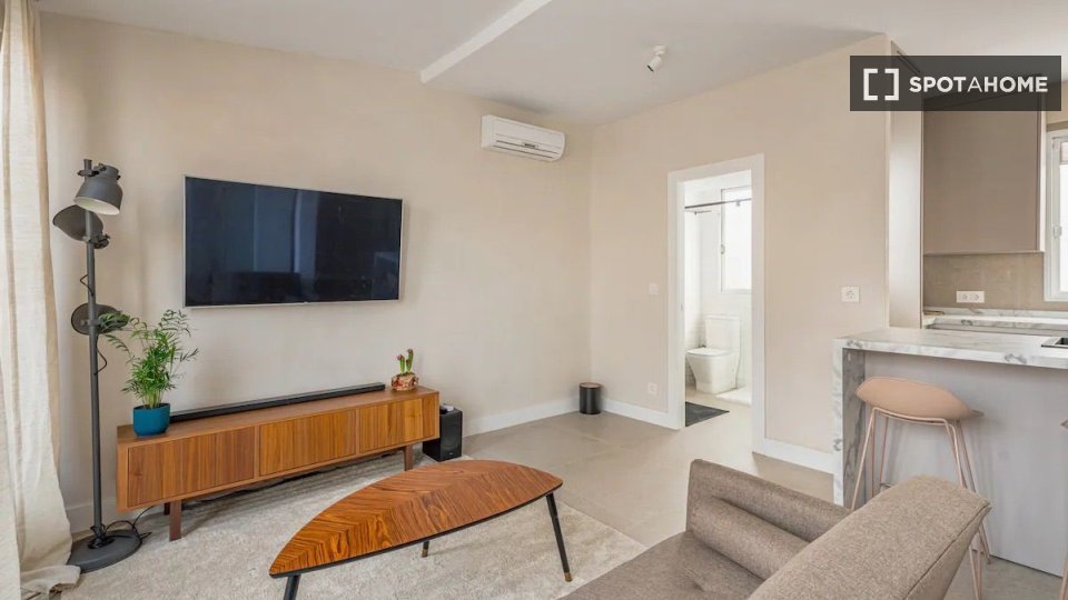 Apartment Madrid, 1 bed — photo 3