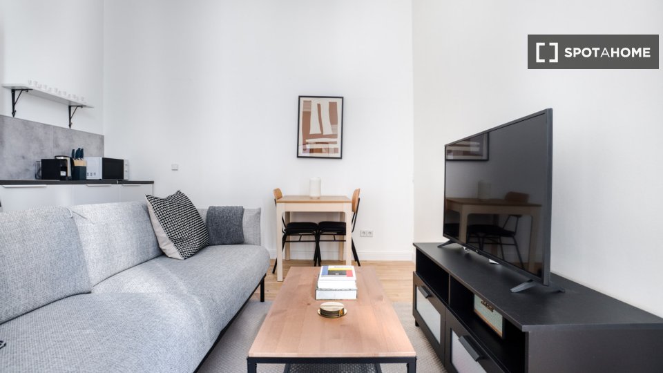 Apartment mono Berlin, 36m² — photo 4