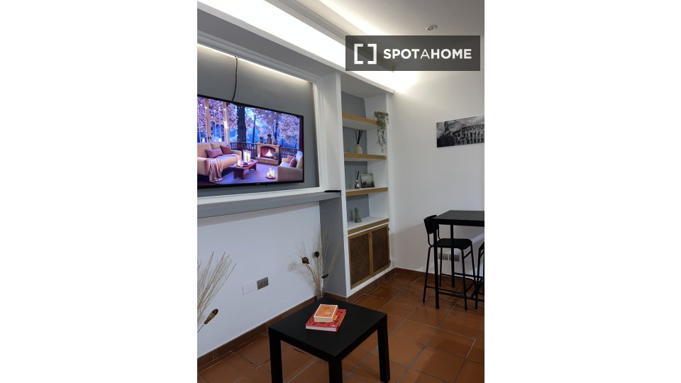 Apartment Rome, 1 bed — photo 22