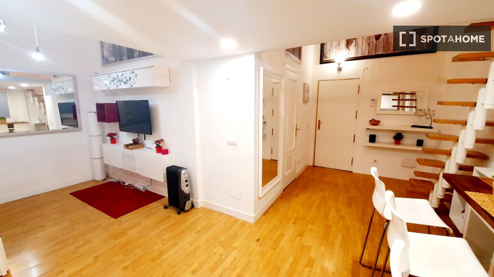 Apartment mono Madrid, 35m² — photo 12