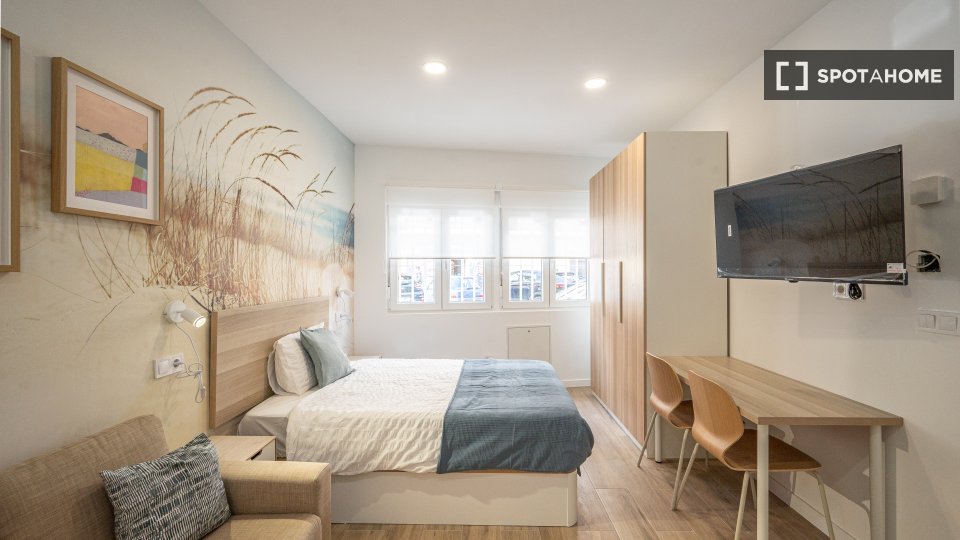 Apartment mono Madrid, 30m² — photo 13