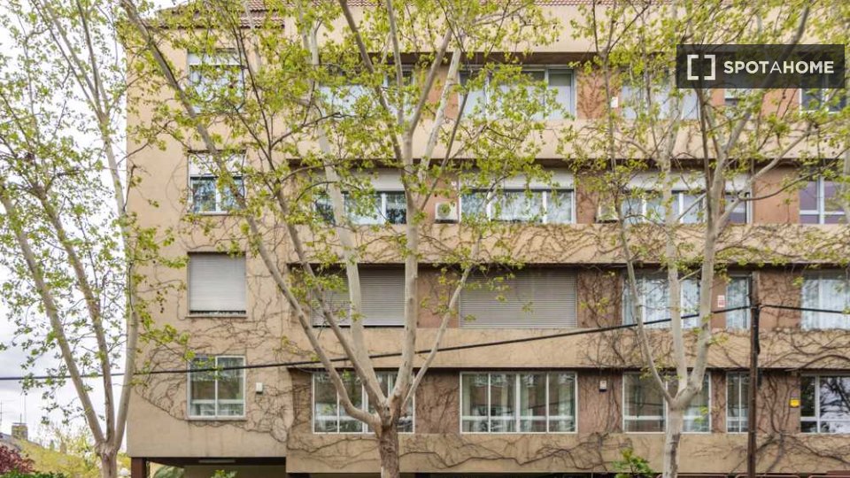 Double room Madrid, 10 beds — photo 22
