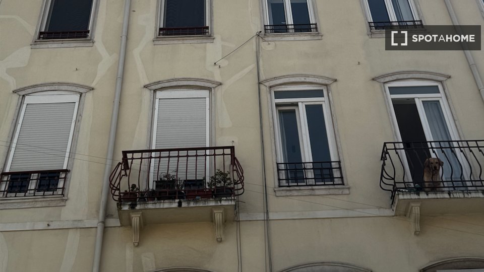 Double room Lisbon, 4 beds — photo 18