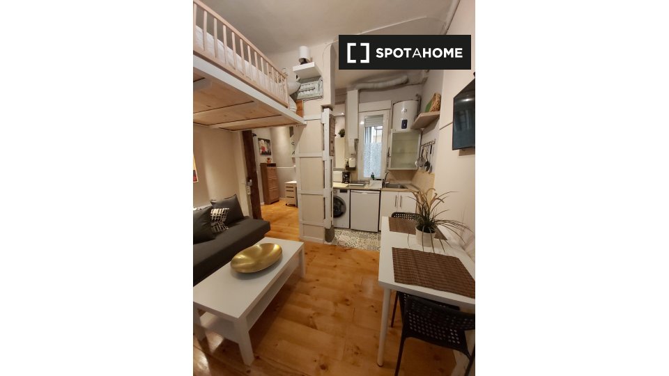 Apartment mono Madrid, 30m² — photo 18