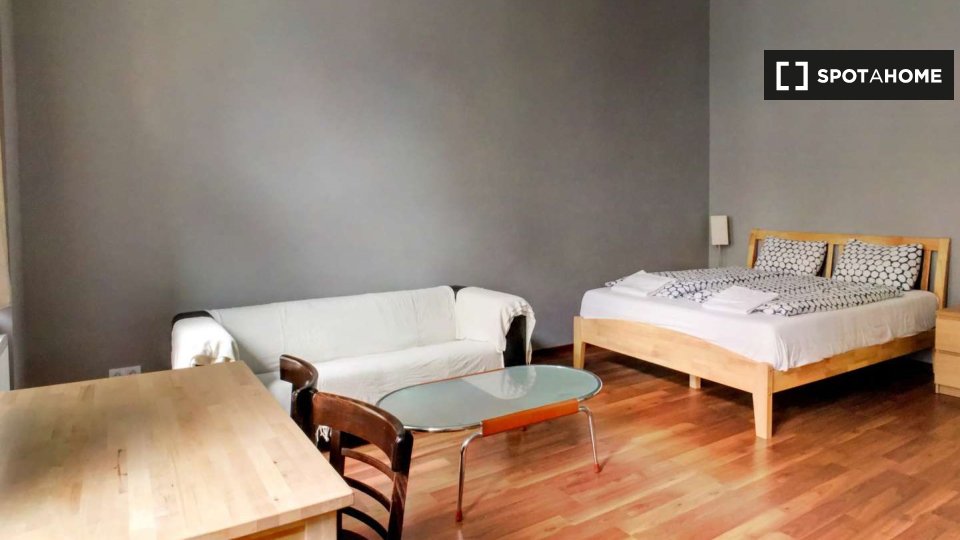 Apartment mono Budapest, 25m² — photo 5