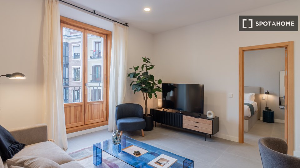 Apartment Madrid, 1 bed — photo 7