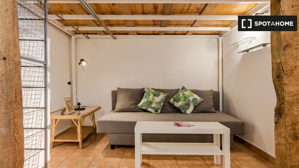 Apartment mono Madrid, 29m² — photo 10