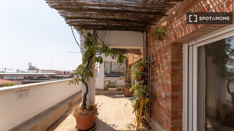 Double room Madrid, 6 beds — photo 5