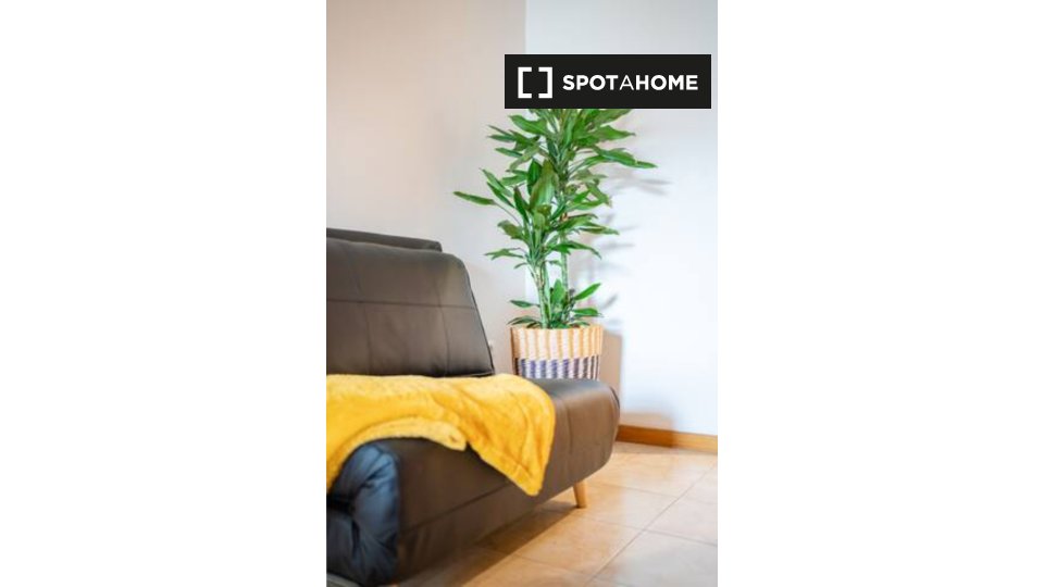Apartment Porto, 1 bed — photo 5