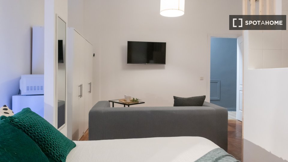 Double room Madrid, 7 beds, 160m² — photo 36