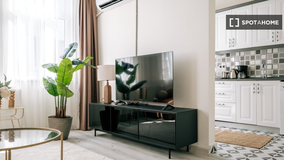 Apartment Istanbul, 1 bed — photo 2