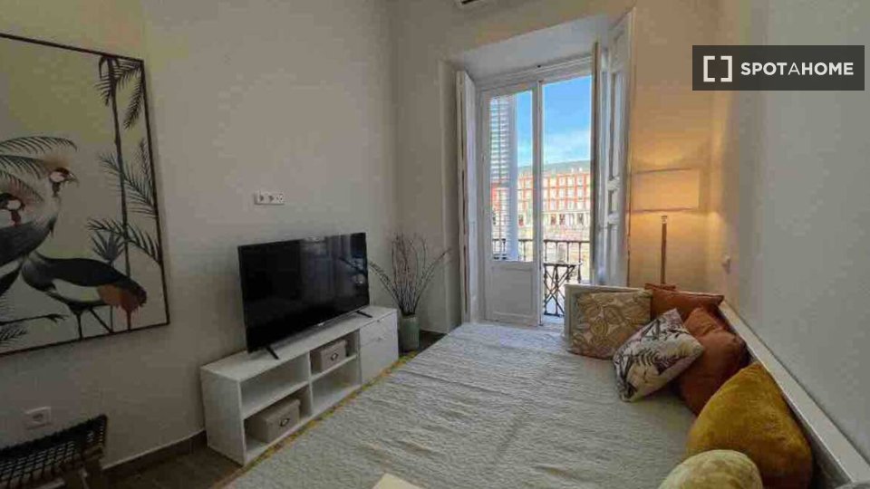 Apartment mono Madrid, 45m² — photo 3
