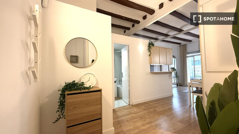 Apartment mono Barcelona, 40m² — photo 5