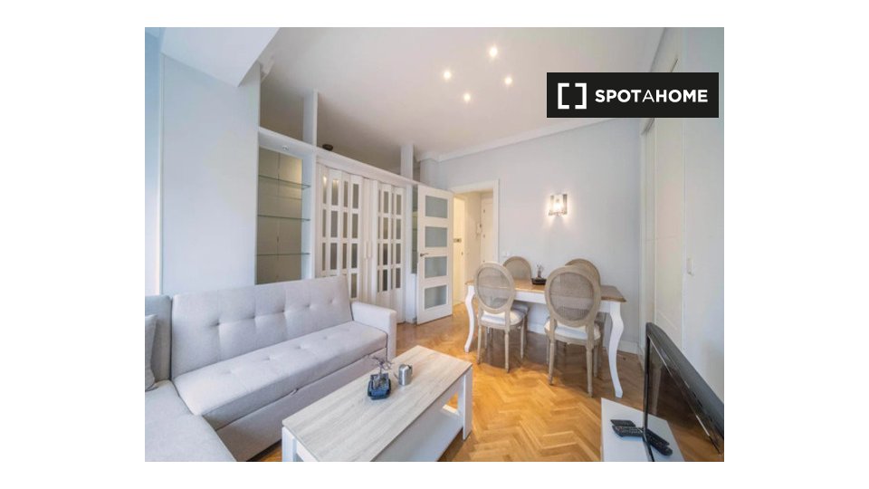 Apartment Madrid, 1 bed — photo 21